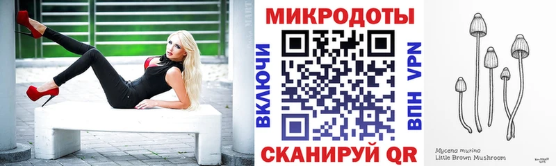 Галлюциногенные грибы Psilocybine cubensis  Славск 